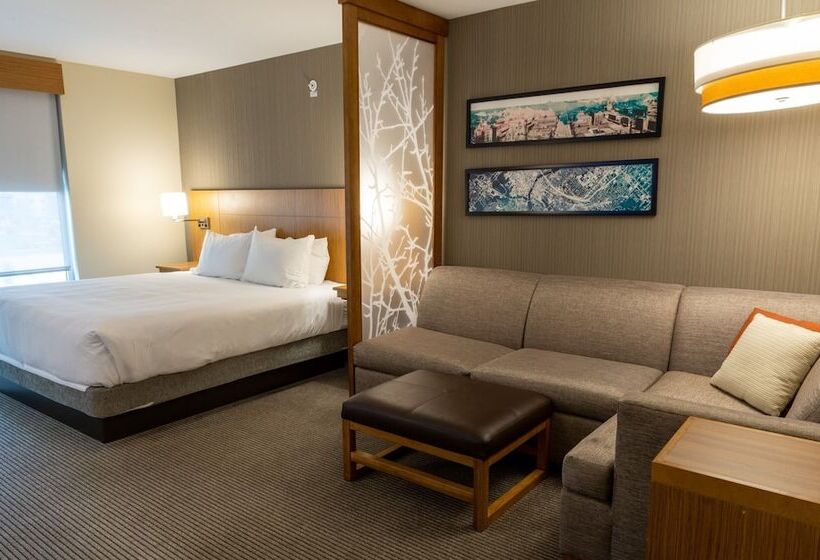 Люкс, Hyatt Place West Des Moines/jordan Creek
