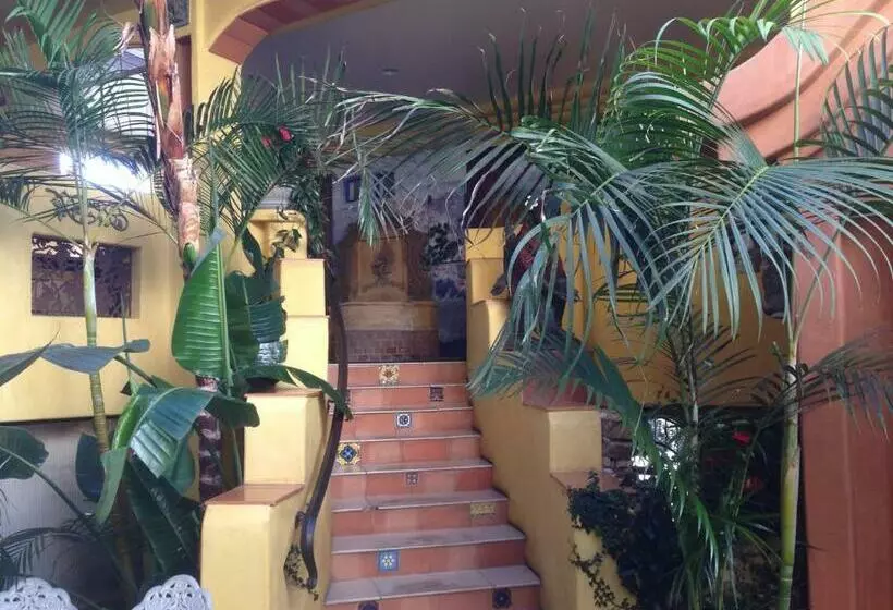 Standard-huone King-vuode, Secret Garden Inn