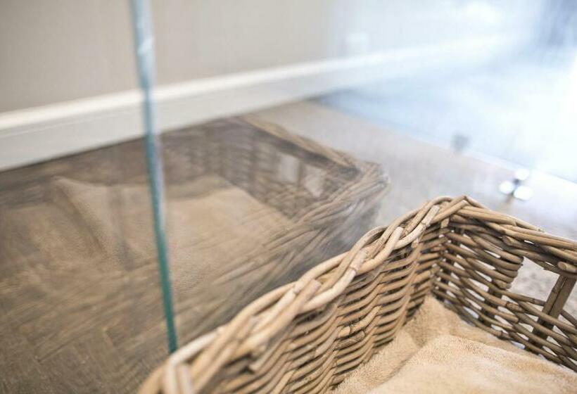 Standaard Éénpersoonskamer, Wodnik