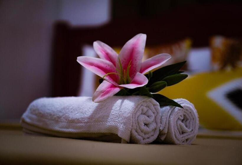 اتاق استاندارد, Amparo S Tourist Inn   Coron