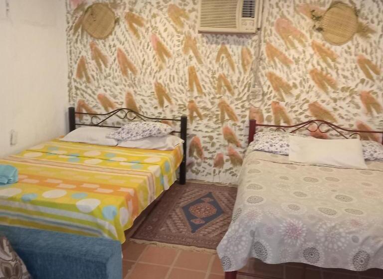 חדר משפחתי, Hostal Rolled