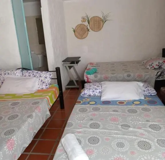 Standard-huone, Hostal Rolled