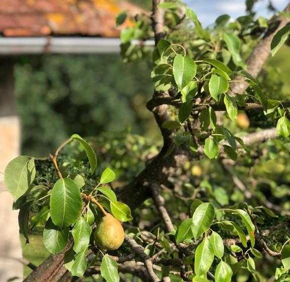 חדר סופריור עם מיטת קינג, La Pommeraie Champsecret