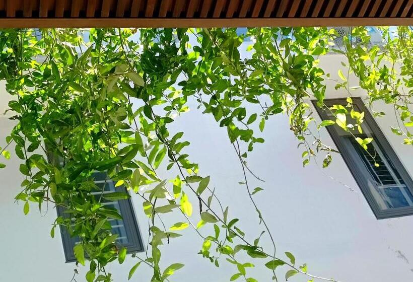 تختخواب در اتاق مشترک, Lullaby Homestay