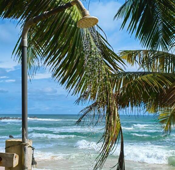 디럭스 룸 바다 전망, Seashore Resort & Villa