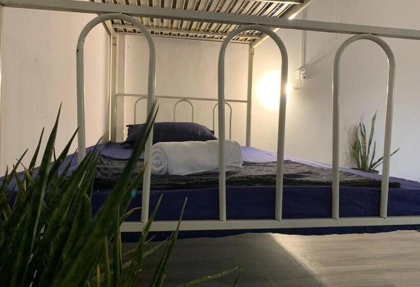 سرير فى غرفة مشتركه, Villa Martial Arts Gym & Guesthouse