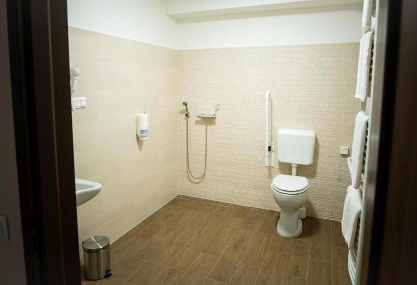 Номер Стандарт Адаптированный для Инвалидов, Elixír Panzió