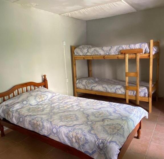 ルームシェアのワンベッド, Houselyon