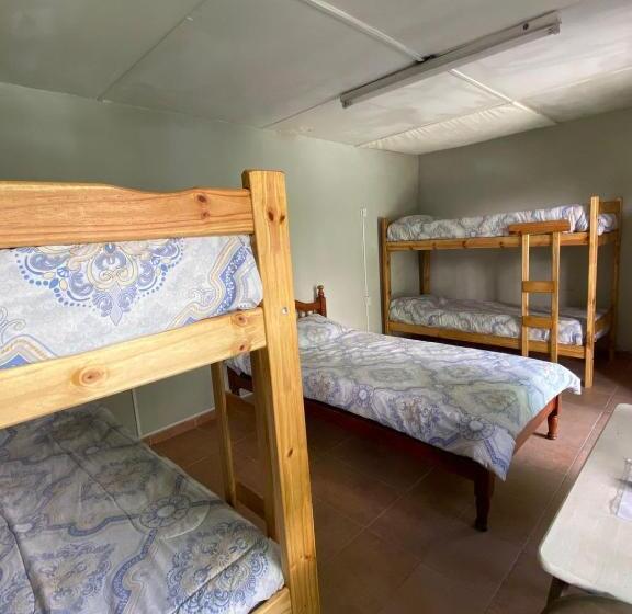 ルームシェアのワンベッド, Houselyon