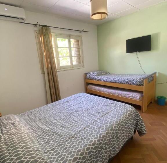 スタンダード４人部屋, Houselyon