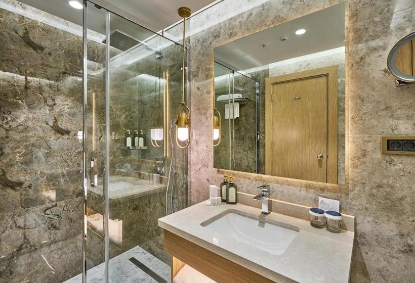 豪华房间, Rayelin Hotel Istanbul Old City