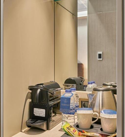 豪华房间, Rayelin Hotel Istanbul Old City