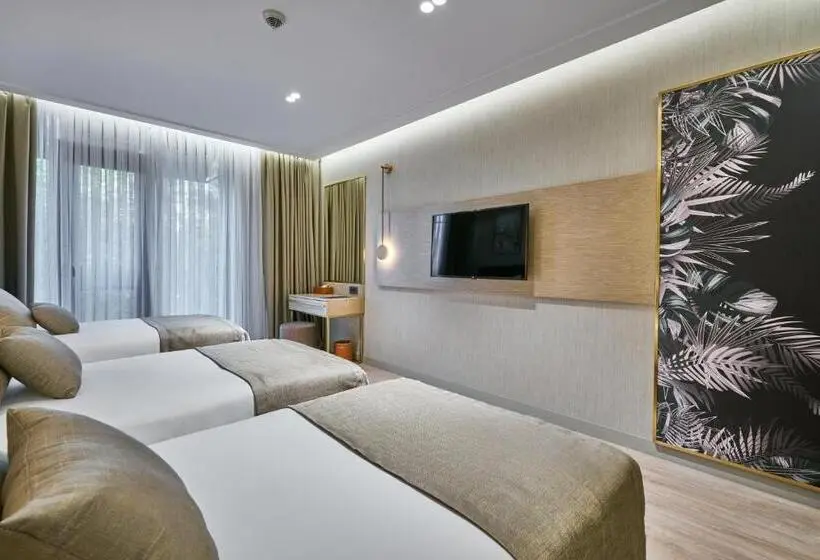 Standard Kolmen Hengen Huone, Rayelin Hotel Istanbul Old City