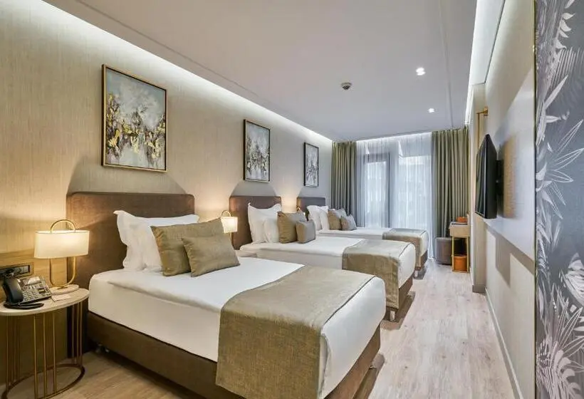 Standard Kolmen Hengen Huone, Rayelin Hotel Istanbul Old City