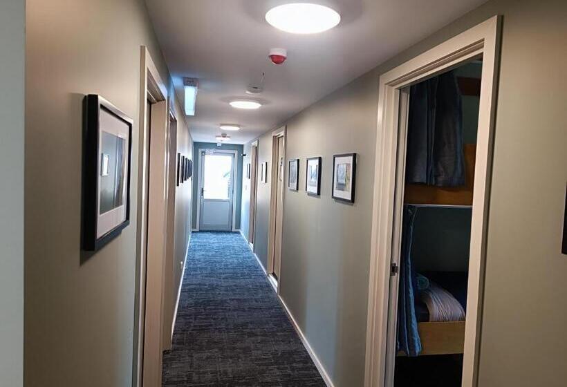 سرير فى غرفة مشتركه, Adventure Wanaka Hostel