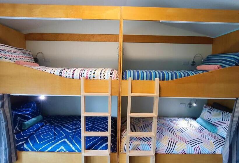 سرير فى غرفة مشتركه, Adventure Wanaka Hostel