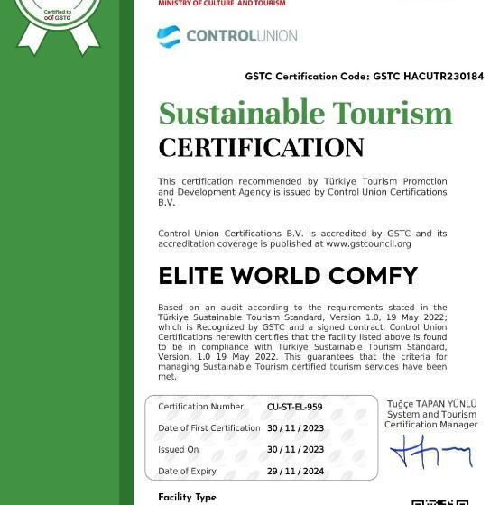 اتاق استاندارد با تخت بزرگ, Elite World Comfy Samsun Atakum
