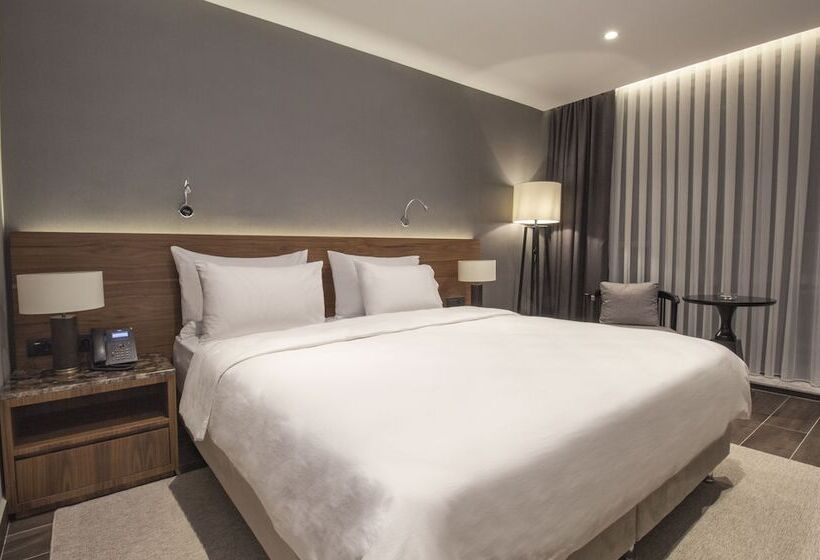 اتاق سوپریور با تخت بزرگ, Elite World Comfy Samsun Atakum