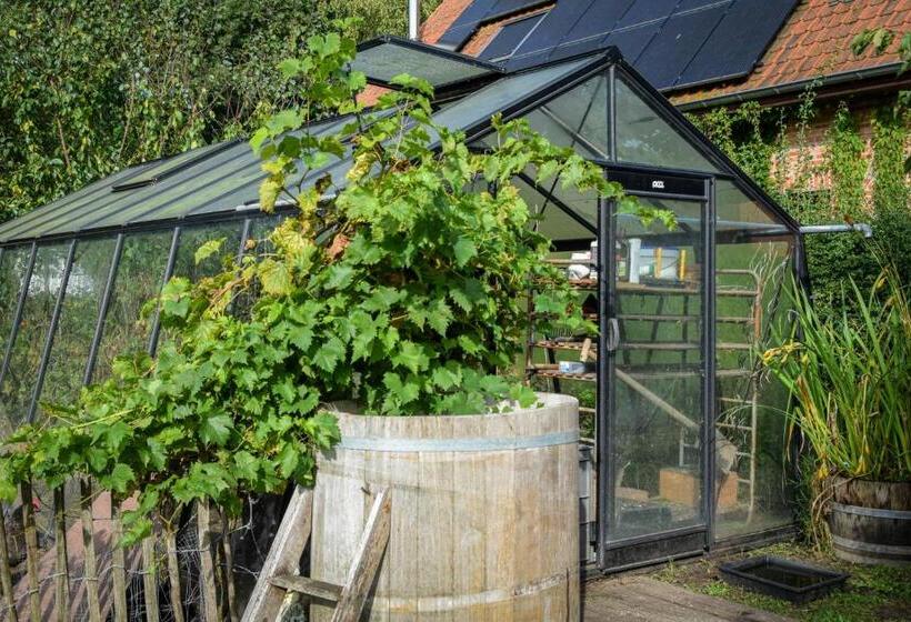 إستوديو ديلوكس, Rooms De Voerman