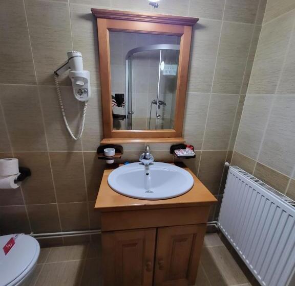 דירה בת חדר שינה 1 עם מרפסת, Pensiunea Gianina