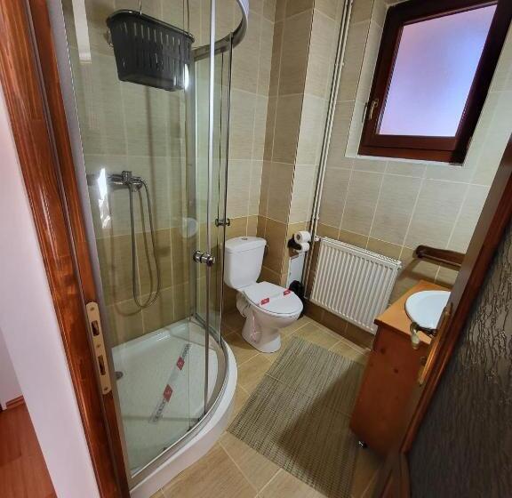 غرفة ديلوكس, Pensiunea Gianina