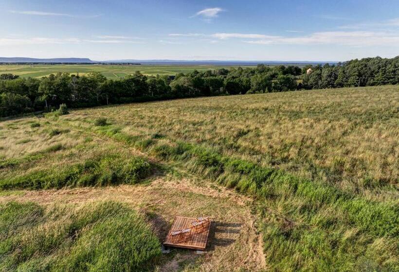 شقة سوبريور غرفة واحدة, The Evangeline