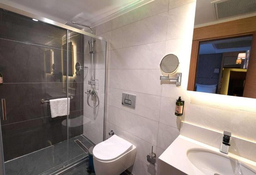 غرفة قياسية لذوى الاحتياجات الخاصة, Days Inn By Wyndham Istanbul Bomonti