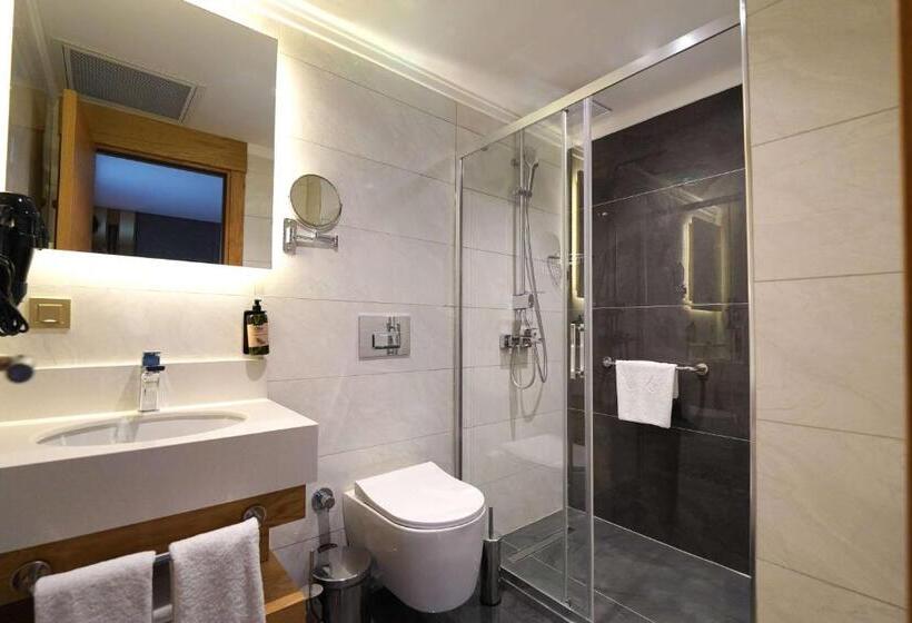 غرفة قياسية لذوى الاحتياجات الخاصة, Days Inn By Wyndham Istanbul Bomonti