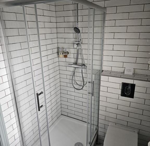 شقة ديلوكس غرفة واحدة, The Ivy Tree