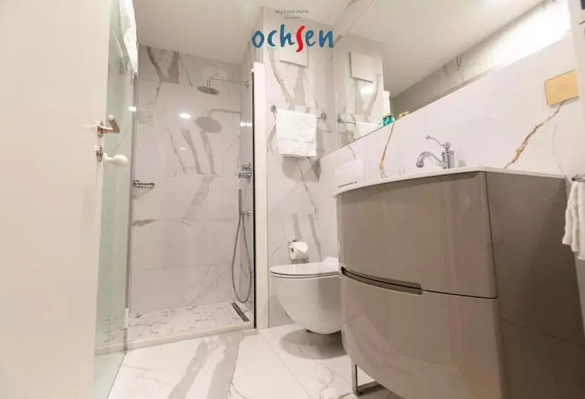 スタンダードルーム, Boutique Hotel Ochsen