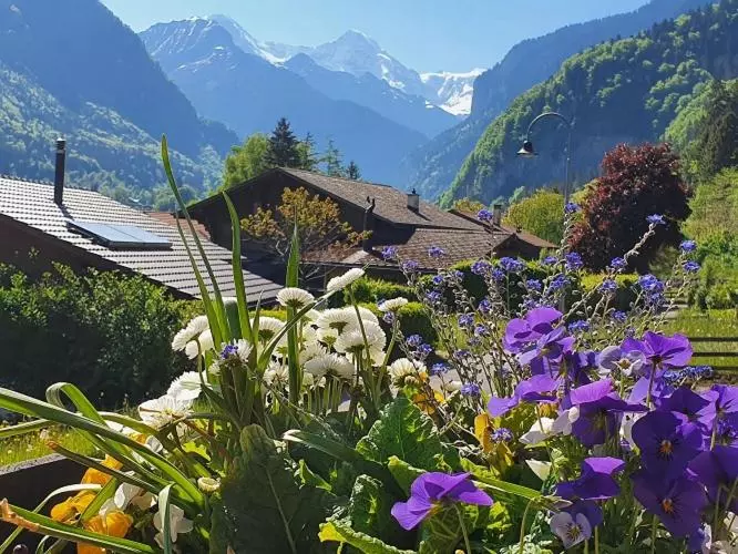 スーペリアールーム, Chalet Gafri Bnb Frühstückspension Und Gastfreuncschaft