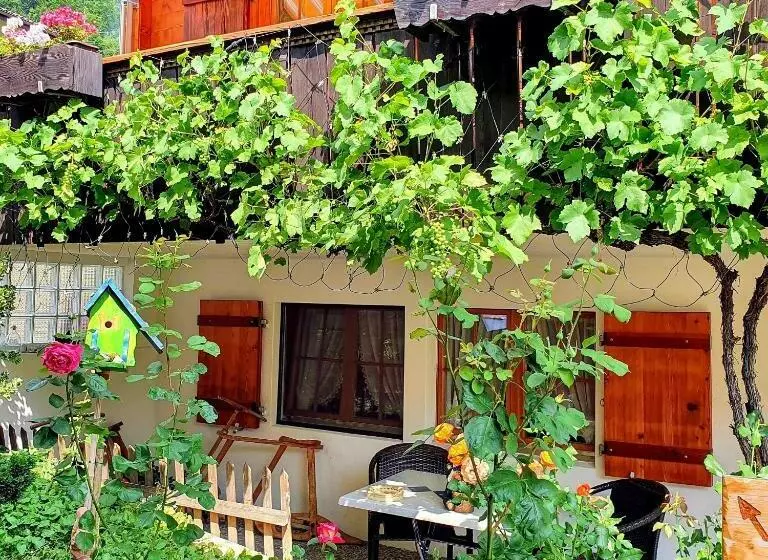 ベーシックルーム, Chalet Gafri Bnb Frühstückspension Und Gastfreuncschaft