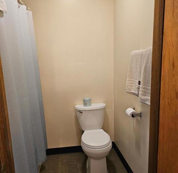 غرفة قياسية سرير كينج, Cle Elum Travelers Inn