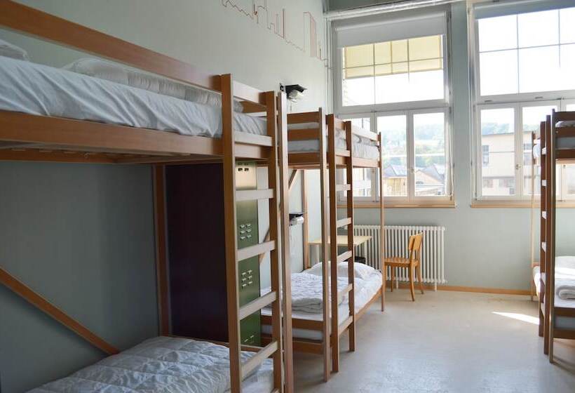 Кровать в Общей Комнате, Depot 195 Hostel Winterthur