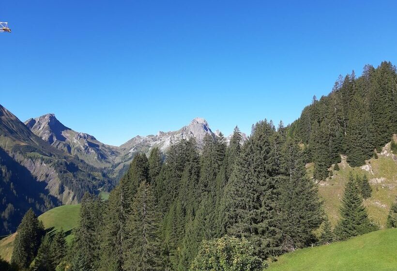 Апартаменты 1 Спальня, Haus Berghof