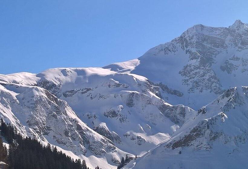 １ベッドルームアパートメント, Haus Berghof