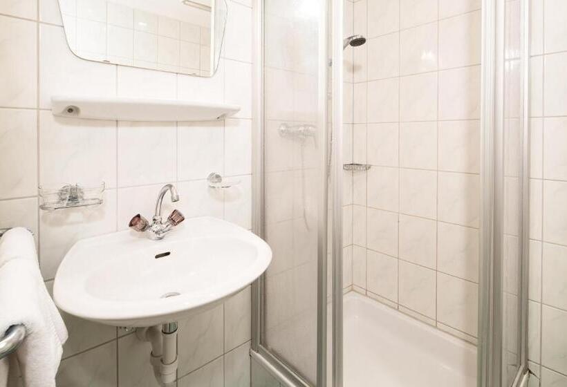 Трежместный Номер Economy, Standlhof Zillertal