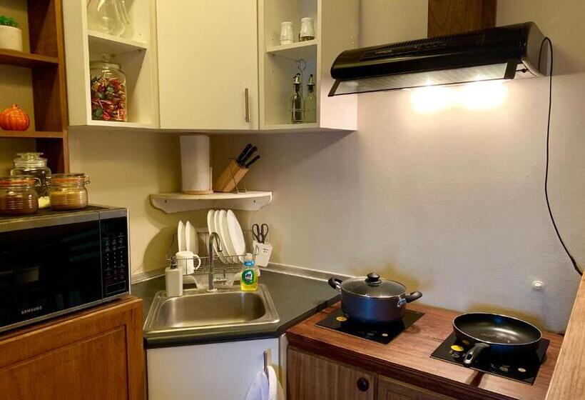 استودیوی استاندارد, Penthouse Condo Studio Unit Centrio Tower W/ Stove