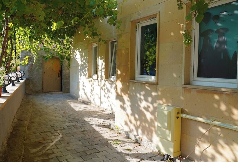 اتاق استاندارد, Alpha Stone House