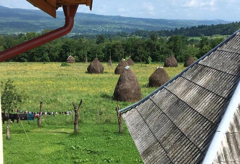 스탠다드 룸, Sub Creasta Cocosului