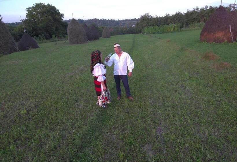 스탠다드 룸, Sub Creasta Cocosului