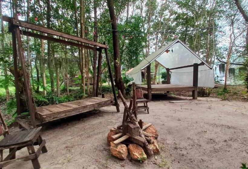 Standard Tent, Bar Horizon Hostel