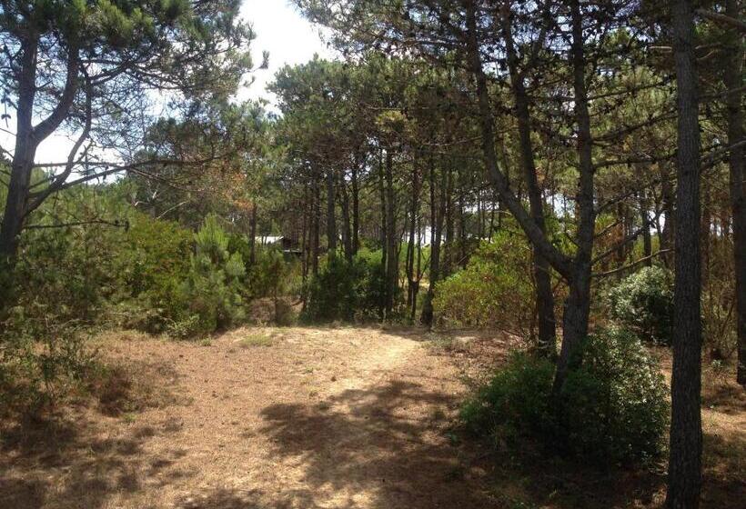 اتاق لوکس, Eco House Via Verde