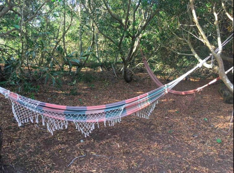 بانگلوی لوکس, Eco House Via Verde