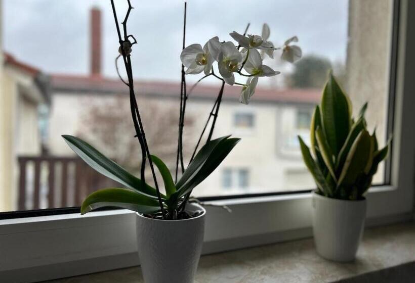 １ベッドルームアパートメント, Pension Hotel Leinefelde Am Bahnhof