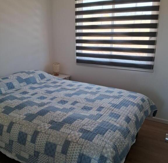 디럭스 룸, Azul Petroleo