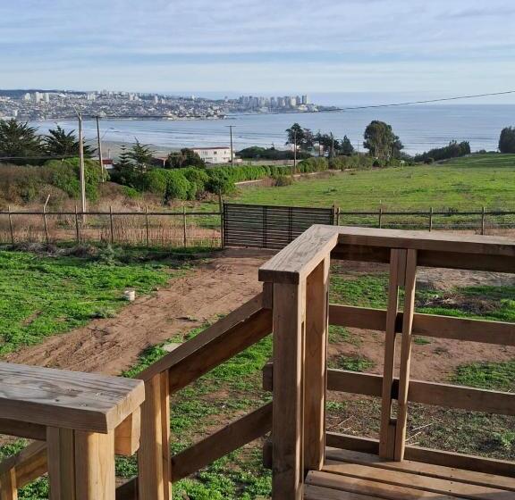 디럭스 룸, Azul Petroleo