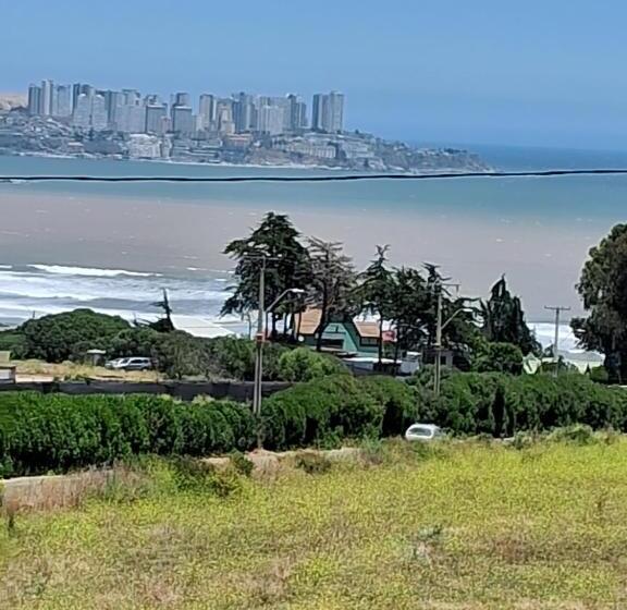 디럭스 룸, Azul Petroleo