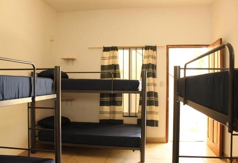 ルームシェアのワンベッド, Mi Puerto Beach Hostel