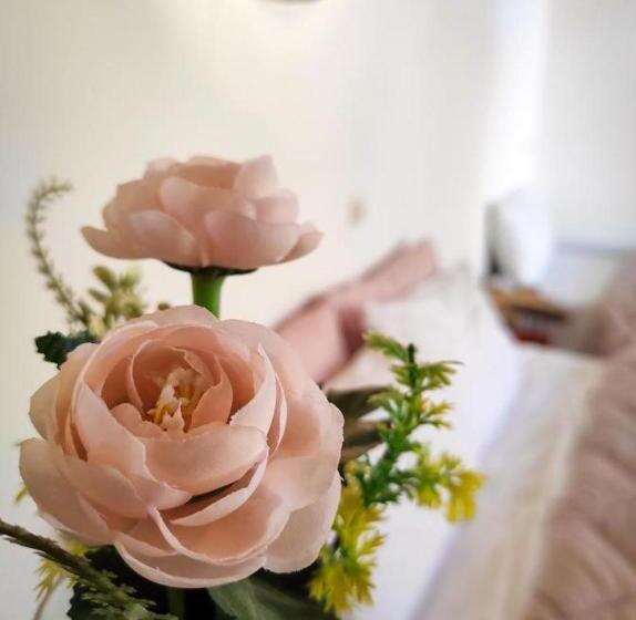 标准间, Riaad Hamad